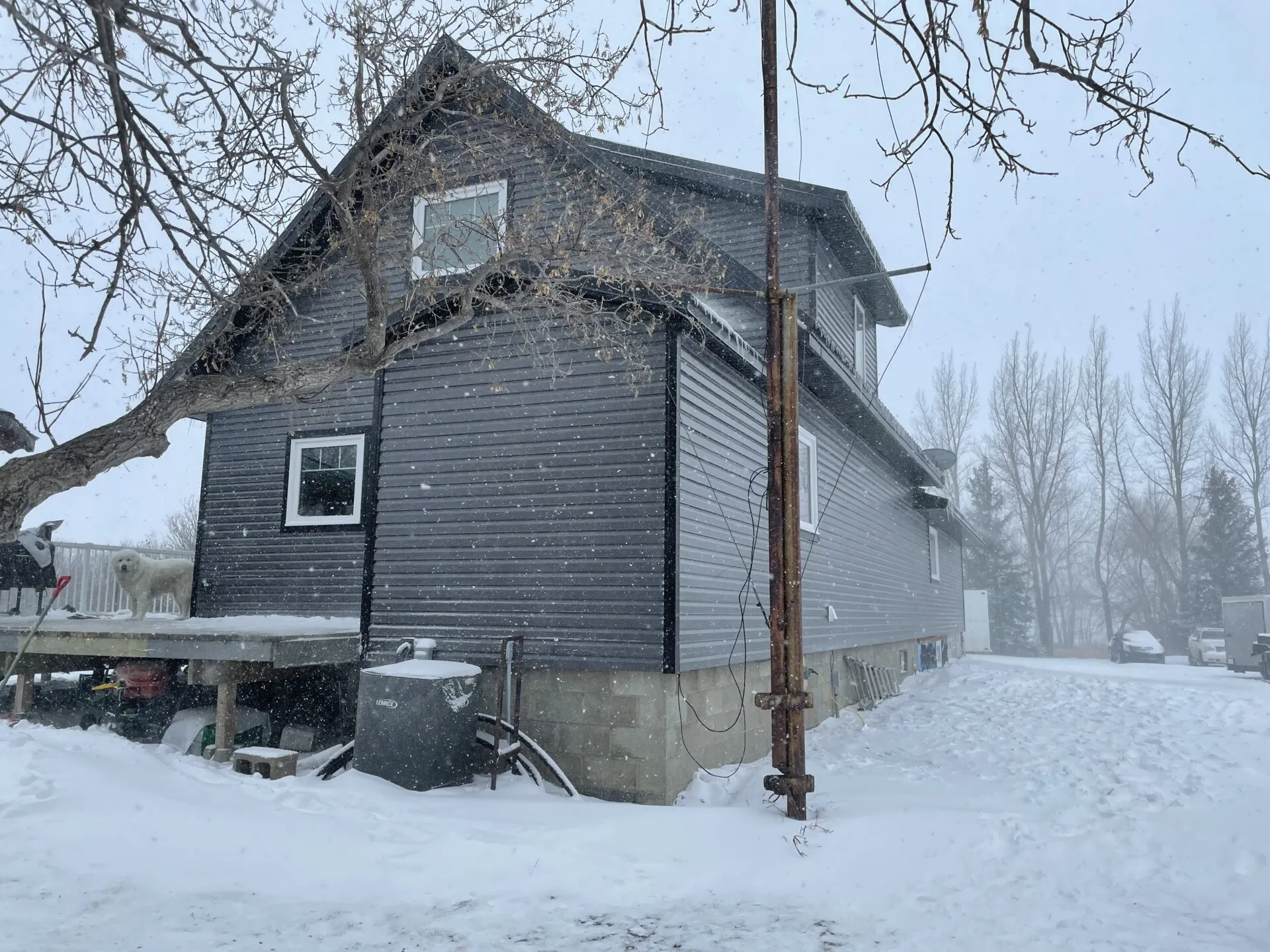 Chalmers_Metal_Siding3